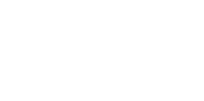 BioSkin Logo