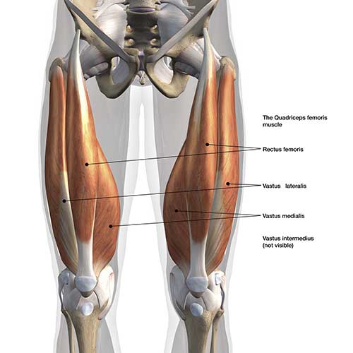 Thigh Strain