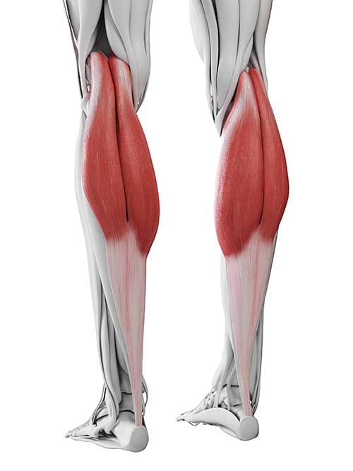 Calf Strain: Torn Calf Muscle