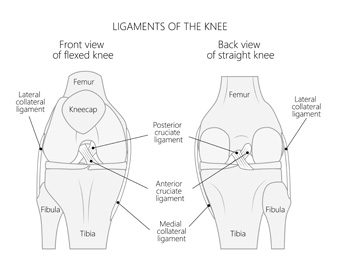 Foot and Ankle Injury and Pain